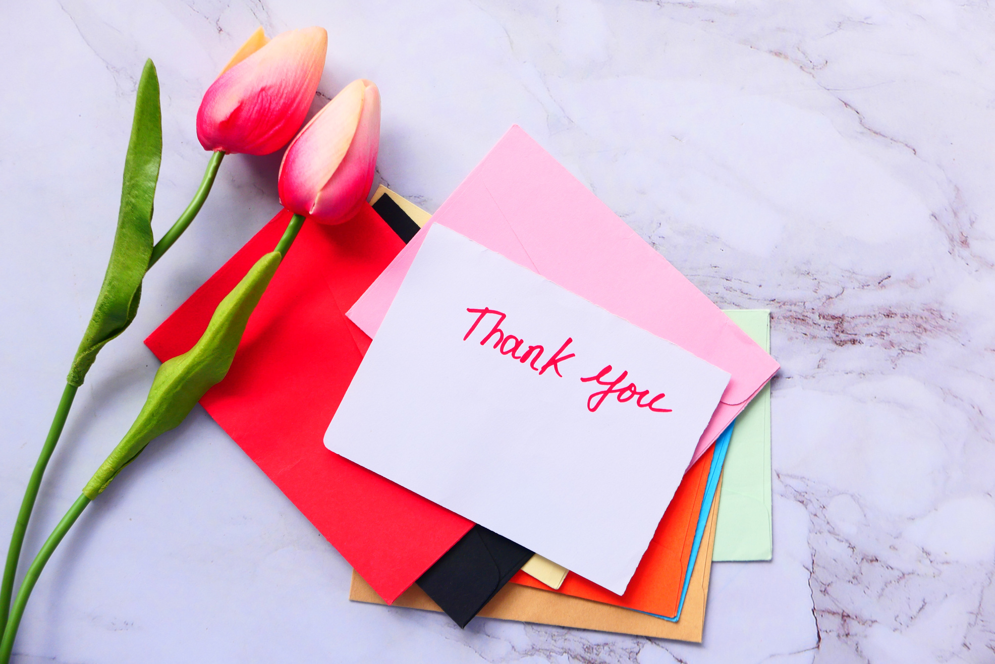 Thank You Message on Paper with Tulip Flower on Tiles Background